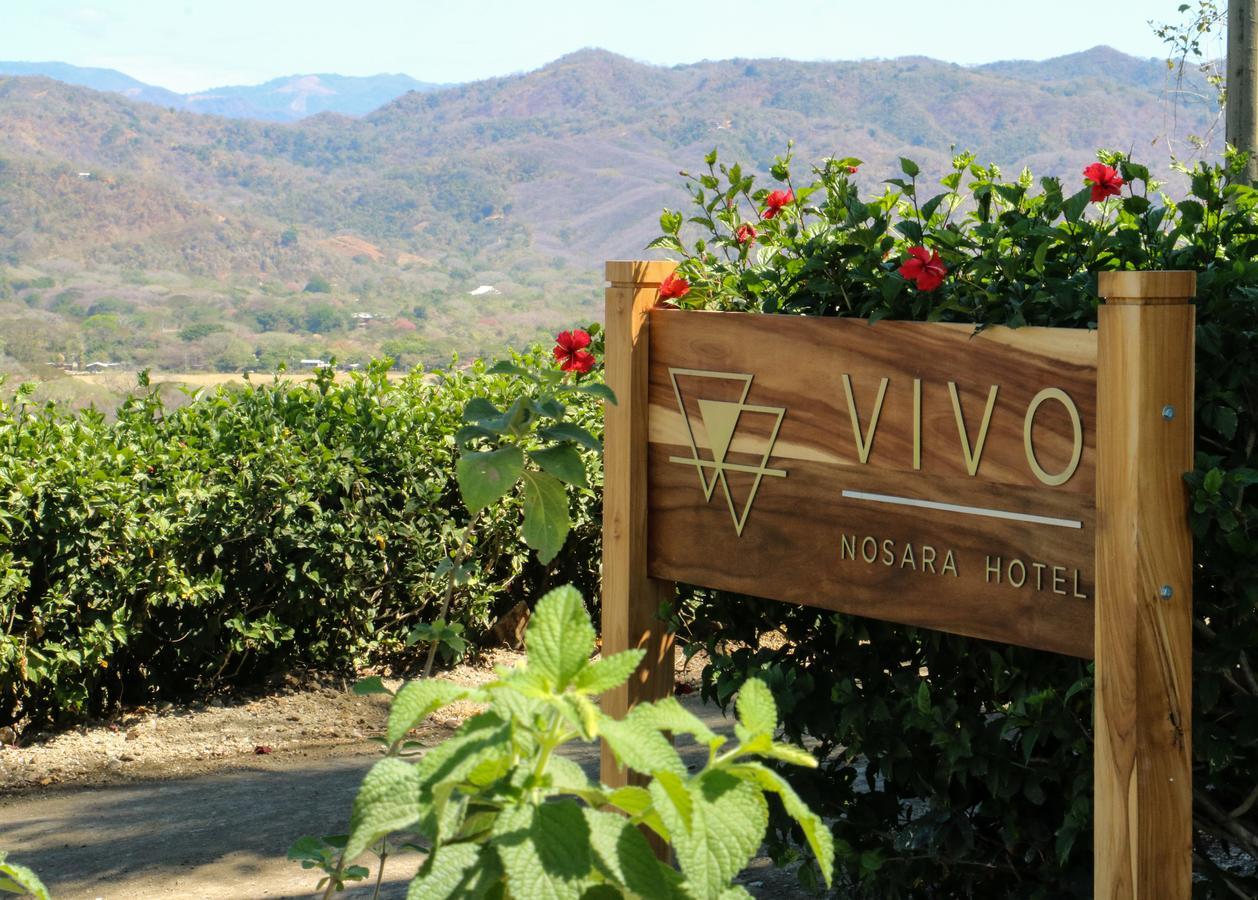 Vivo Nosara Hotel Dış mekan fotoğraf
